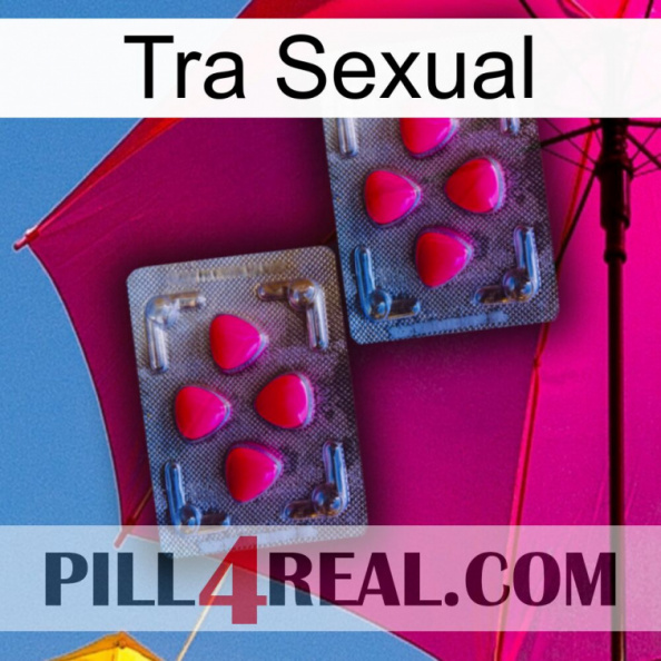 Sex Tra 14.jpg